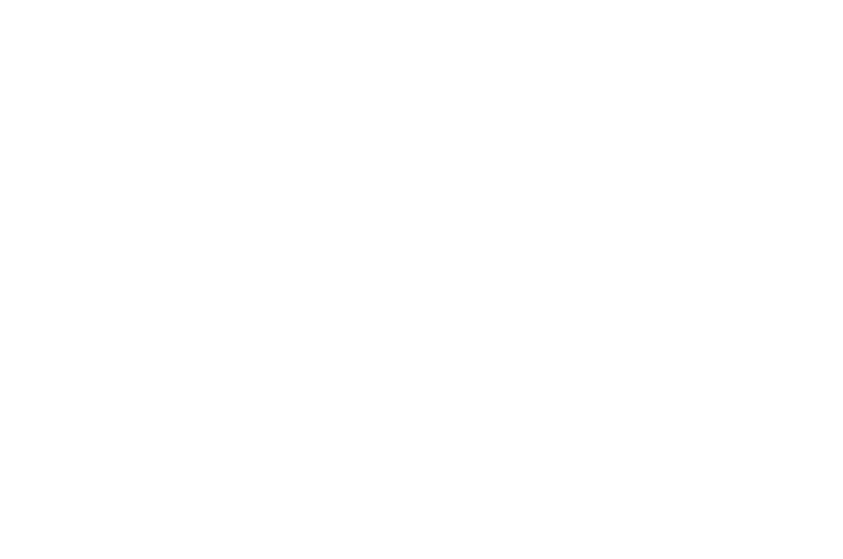 Semi-Finalist – Nashville Independent Filmmakers Festival 2026